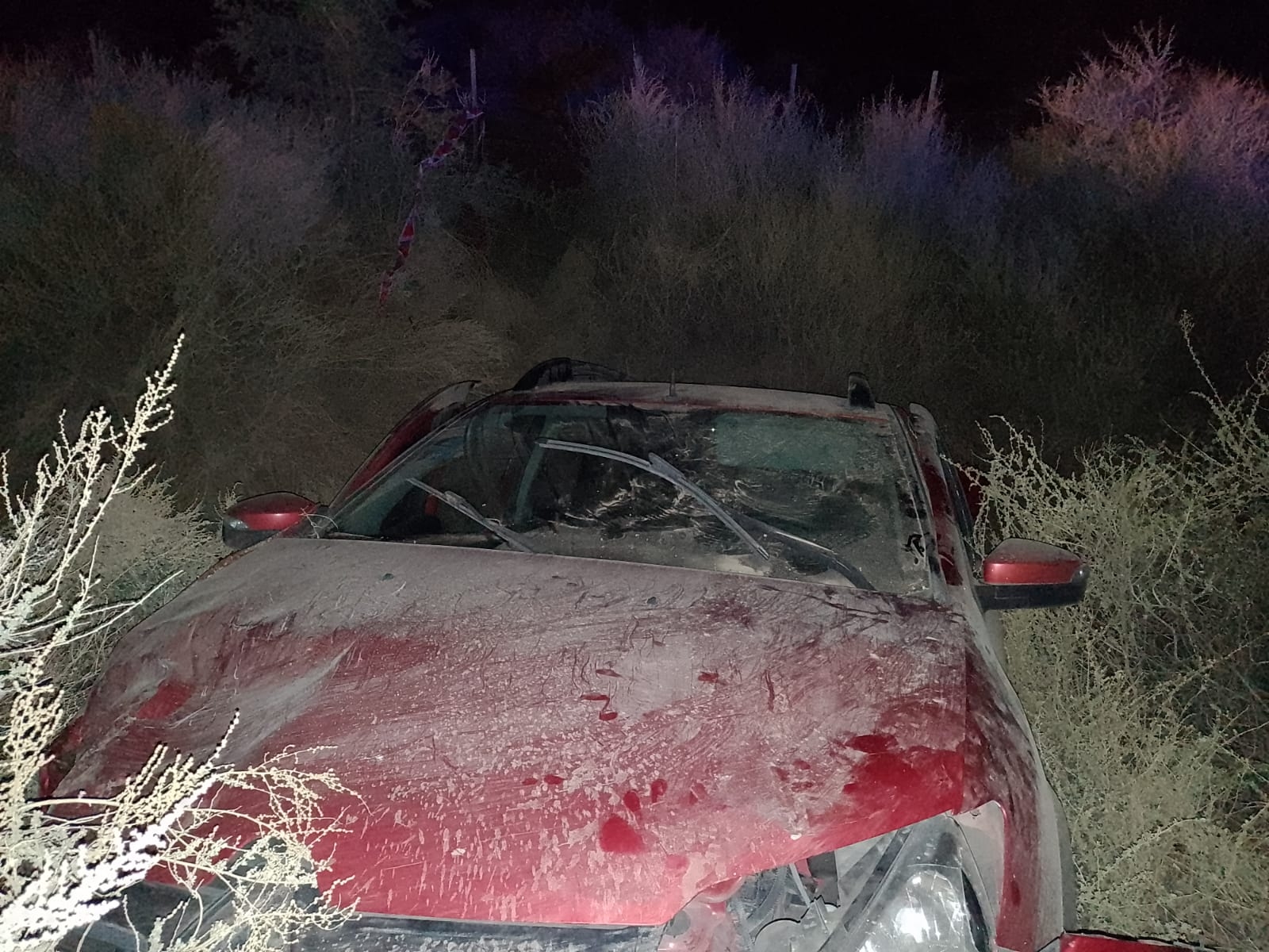 La justicia informó la dinámica del accidente
