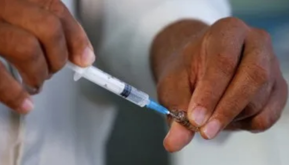 Confirman la llegada de la vacuna contra el dengue: cuándo y a cuánto estará disponible