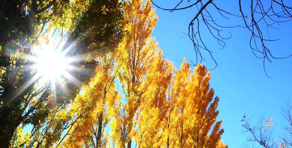 ¡El sol será protagonista en un sábado con 20 grados de máxima!