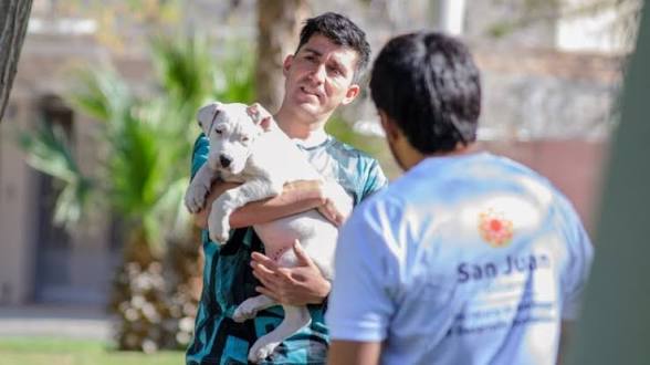 Esterilización canina y felina, gratis, en Rivadavia 
