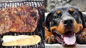Un hombre mató de tres disparos a su perro porque le comió el matambre de la parrilla
