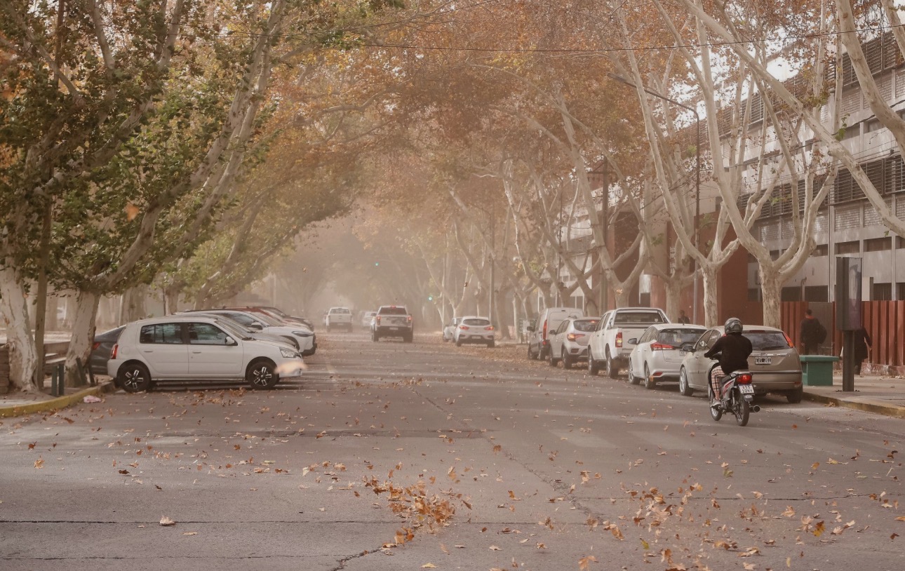 Viento Zonda en San Juan: cómo reclamar ante cortes de luz y situaciones de riesgo