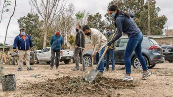Por la sequía reforestarán la provincia con nuevas especies arbóreas