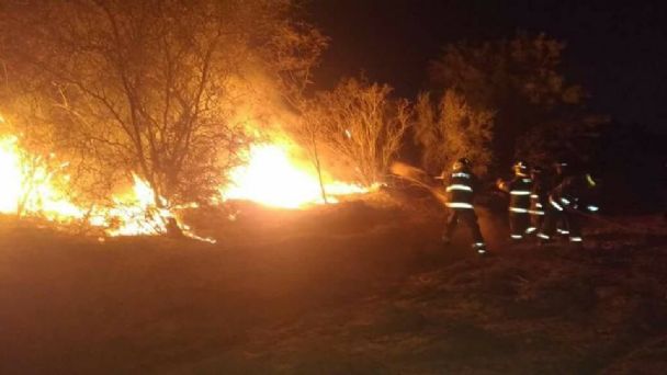 Un gran incendio devoró pastizales en Pocito