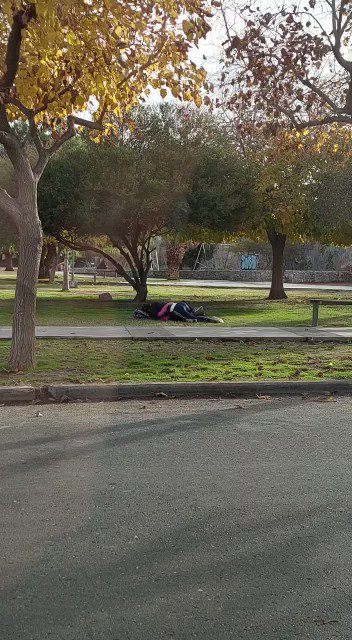 Para pasar el frío, una pareja intercambió mimos en una plaza de Capital y son virales
