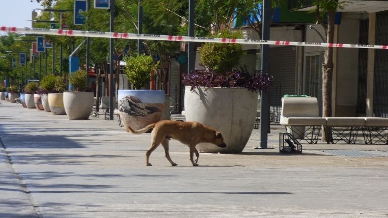 Se incendió un área subterránea de la peatonal y provocó un gran susto