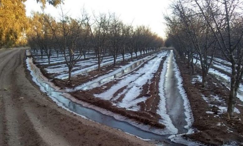Un jueves helado y alerta por neblinas