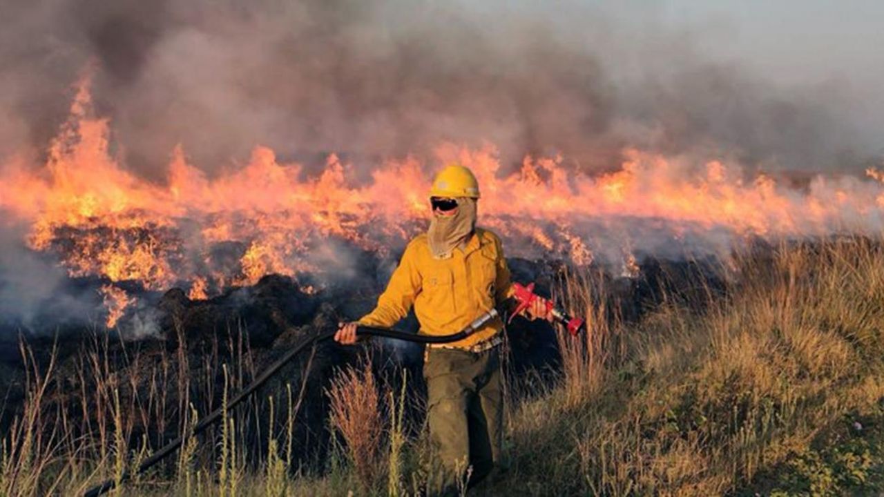 El fuego en corrientes afectó el 12% de la superficie total de la provincia