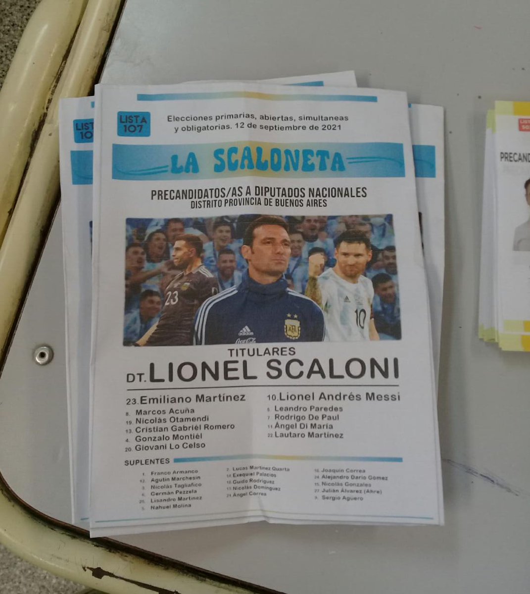 Furor por la boleta de "La Scaloneta", el voto que generó una impensada repercusión en las redes