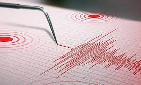 Un fuerte sismo sacudió la madrugada de los sanjuaninos
