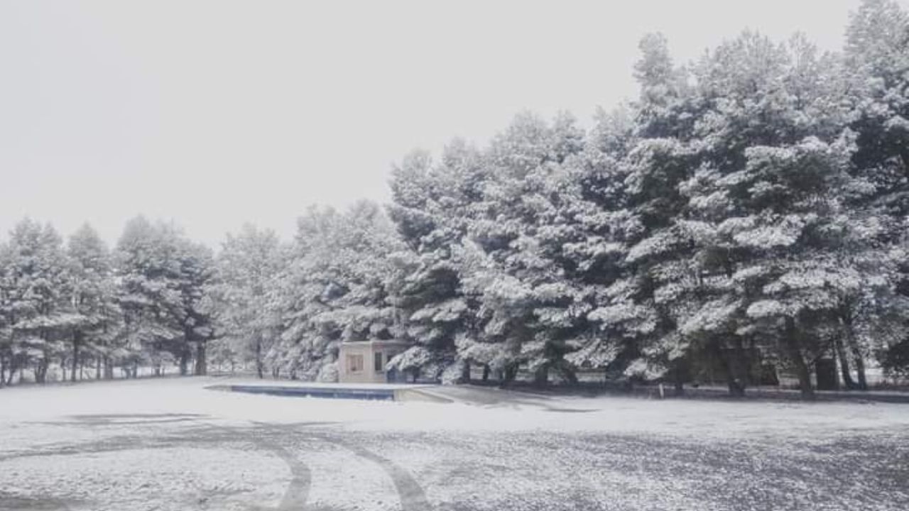 ¡Mirá la belleza del valle de Pedernal bajo la nieve sanjuanina!