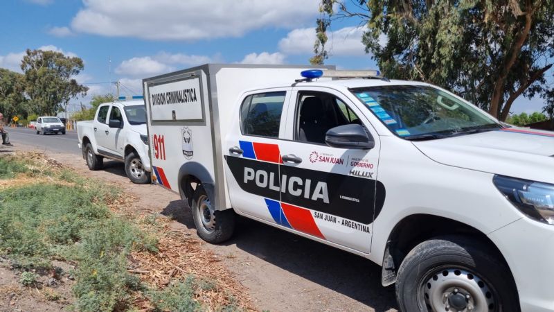 Muerte en la ruta: Un camión intentó esquivar una vaca y desató una tragedia