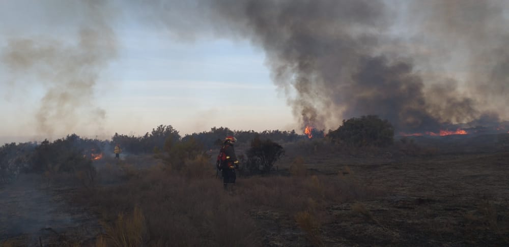 Avanza un tremendo incendio en Pocito y ya se devoró gran parte de una finca