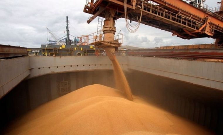 Le facilitaron al campo las operaciones en dólares para que exporten la soja
