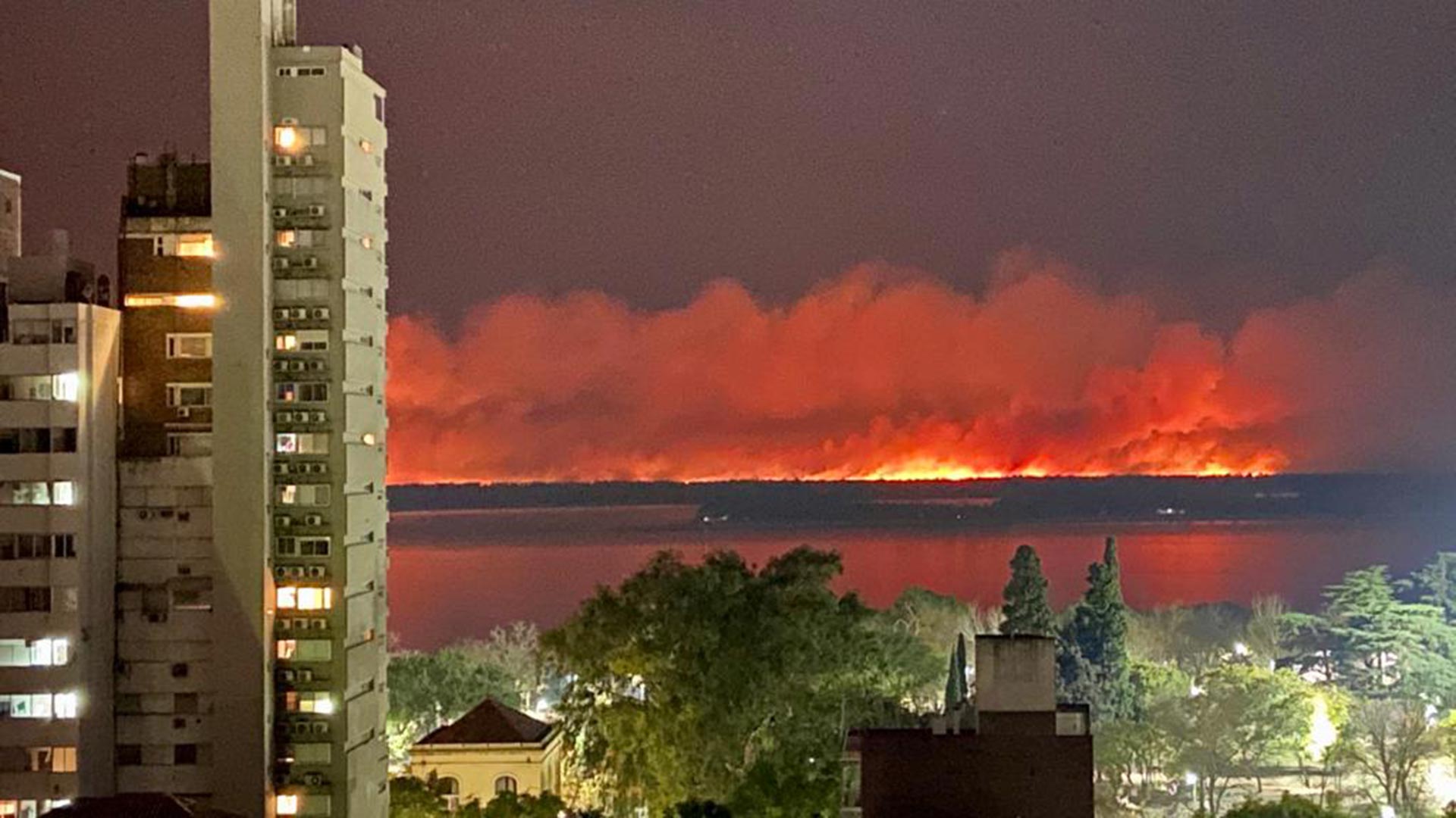 Preocupación por los incendios en Paraná y lo que dejará