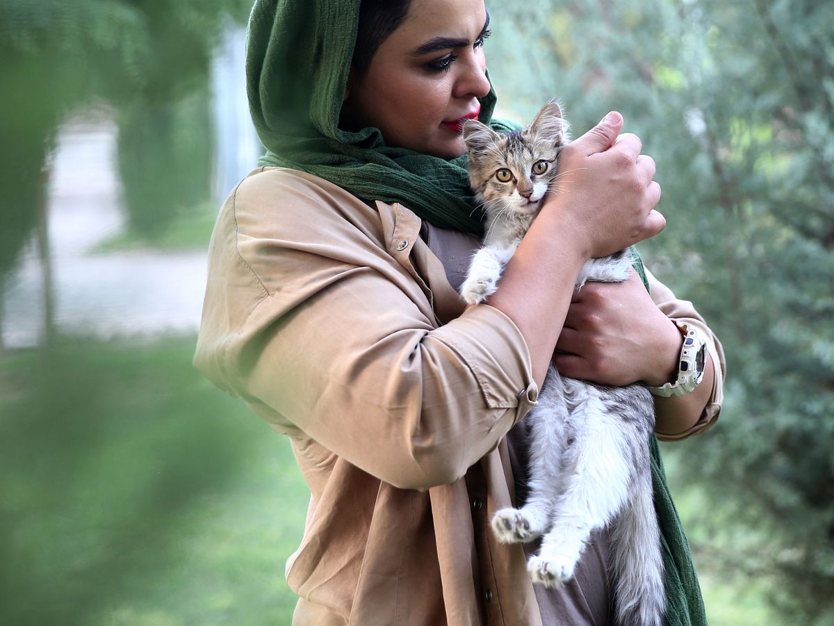 El régimen iraní quiere prohibir las mascotas
