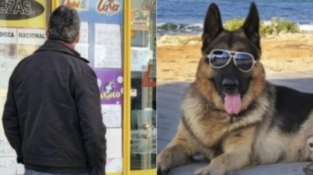 El mejor amigo del hombre: un apostador se volvió millonario gracias al instinto de su perro