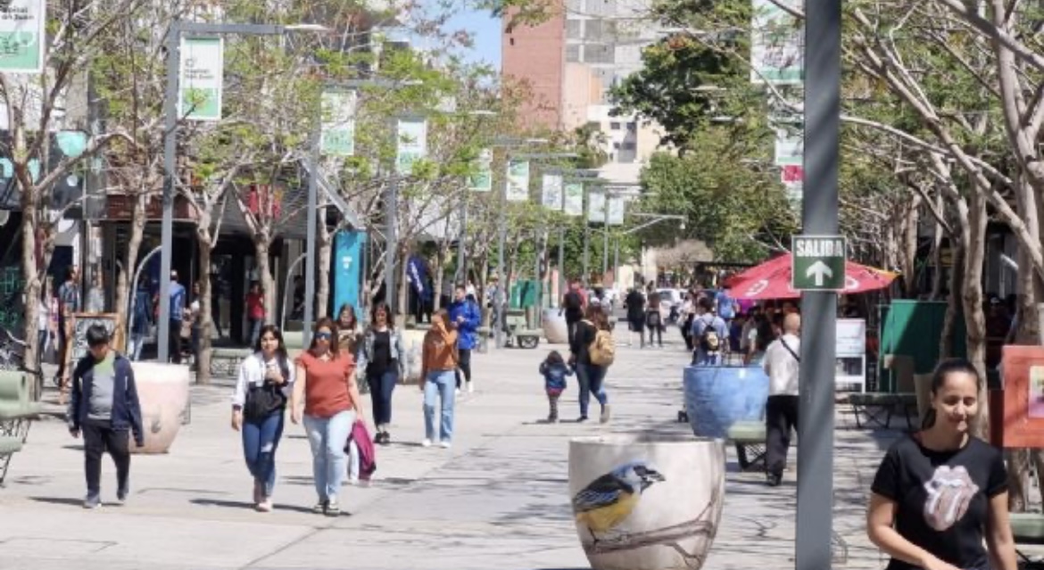 El comercio de San Juan disminuyó un 14% sus ventas en enero 