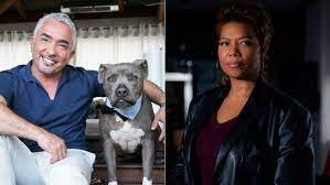 Denunciaron al "encantador de perros" porque su Pitbull mató al de una famosa