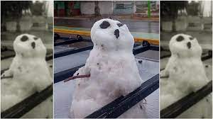 En Jáchal cayó tanta nieve que hasta hicieron muñecos sobre los autos