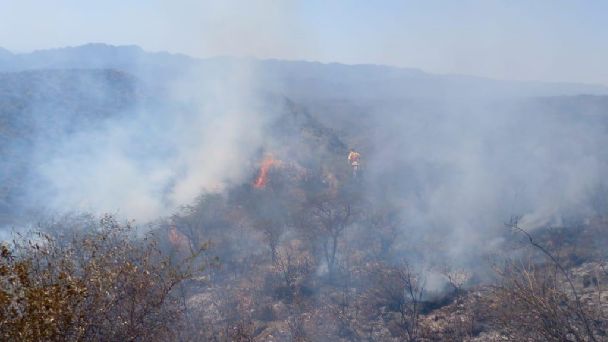 Contuvieron los incendios en Valle Fértil y solo resta la "guardia de cenizas"