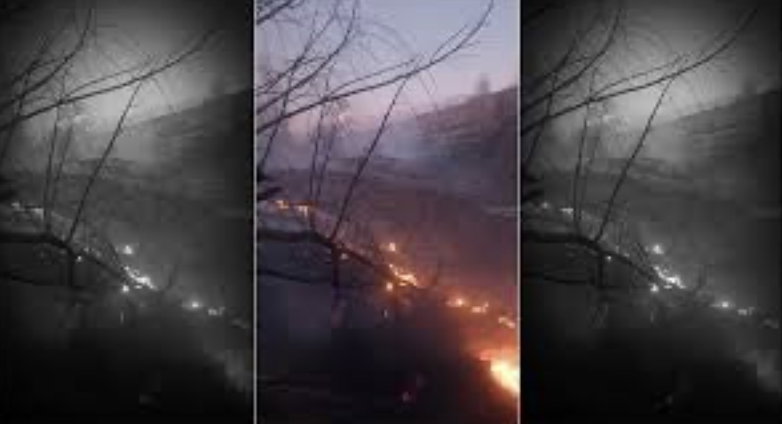 Se quemaron más de 500 metros en un incendio en el parque El Leoncito