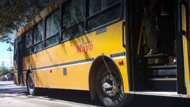 Terror dentro de un colectivo cuando fue asaltado