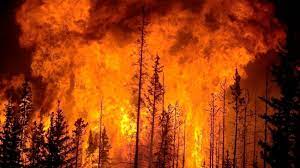 Incendio en Chile: Argentina refuerza su apoyo con bomberos y maquinarias