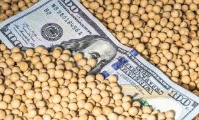 En la primera semana del dólar soja, las reservas subieron casi US$ 870 millones