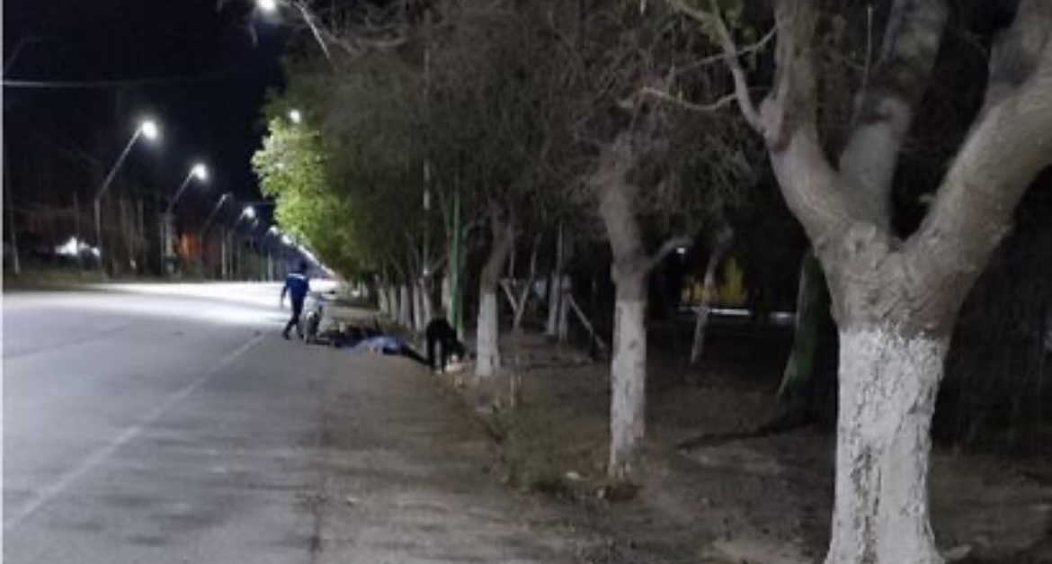 Un motociclista murió luego de impactar contra un árbol 