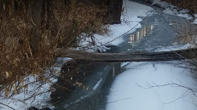 El intenso frío congeló hasta el agua del Río Los Patos 