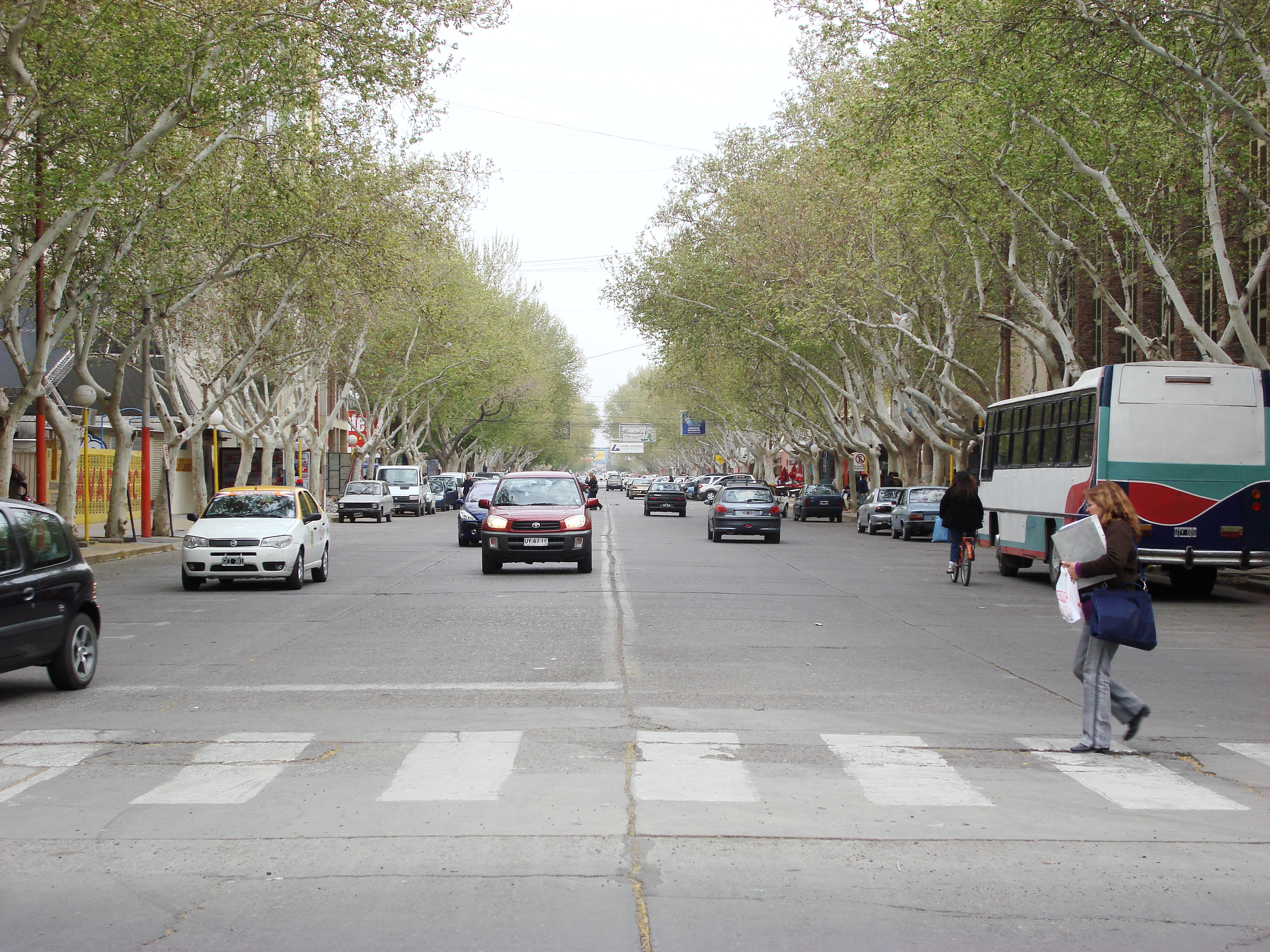 Se bajó del auto y en cuestión de segundos se lo robaron