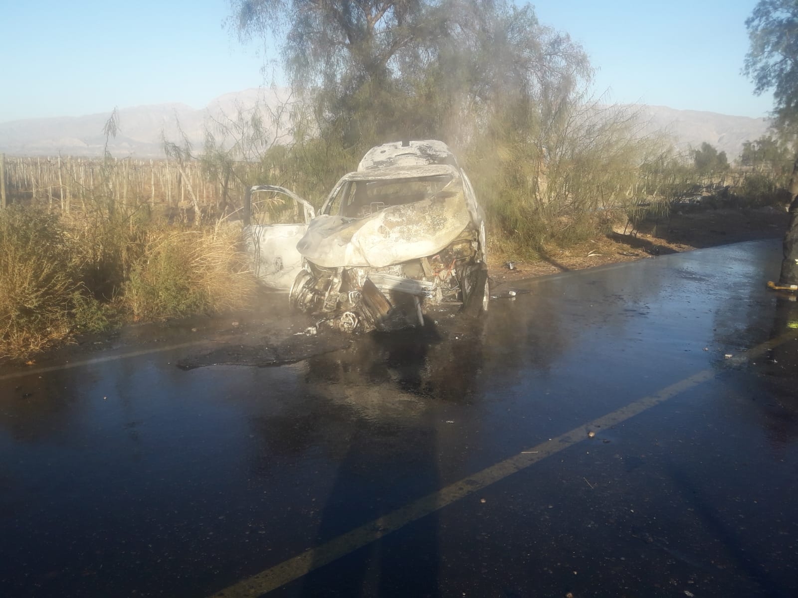 Chocó contra un pilar y se le incendió el auto