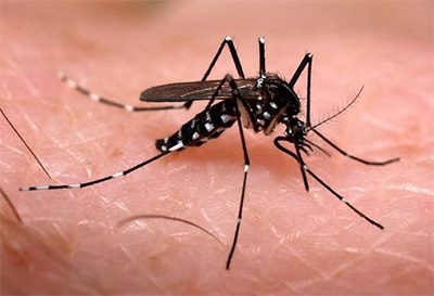 San Juan tiene un tercer caso importado de dengue