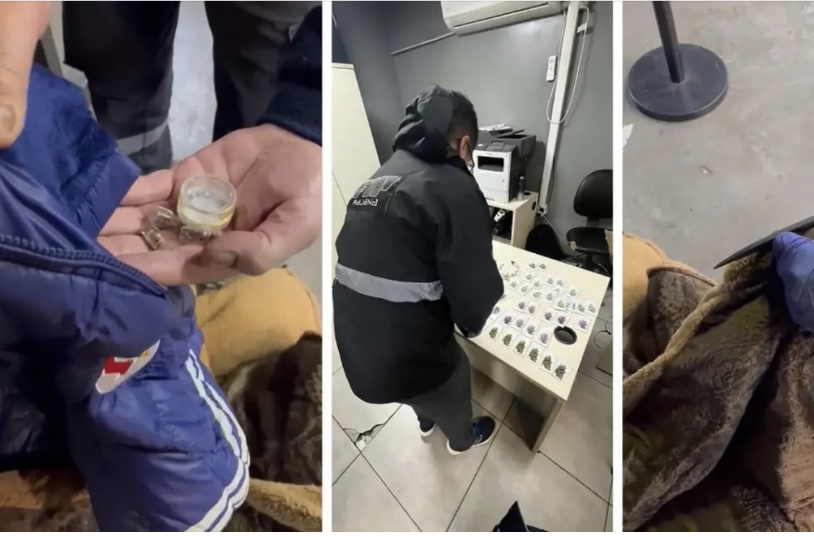 Los Horcones: un argentino intentó ingresar al país camuflado entre chilenos en un tour de compras con 1.620 semillas de marihuana