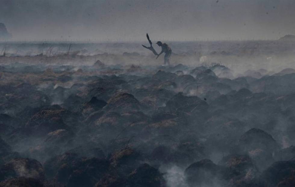 Incendios en Corrientes: disminuyeron los focos en cuatro localidades tras la llegada de la lluvia