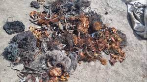 Incautaron casi 90 kg de cobre en Rawson 