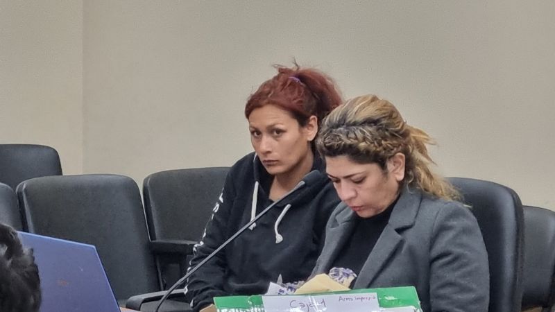 Condenaron a la mujer que mató de un ladrillazo a su ex pareja