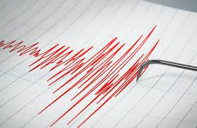 Un temblor ocurrido en la provincia sacudió todo el Gran San Juan