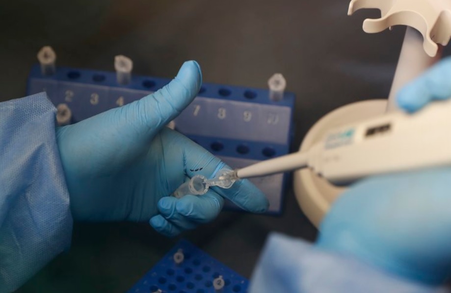 Estados Unidos aprobó de emergencia el tratamiento con anticuerpos monoclonales