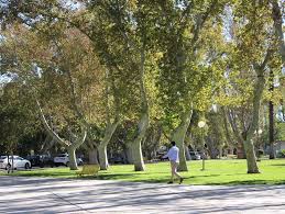Un domingo de Pascuas para disfrutar al aire libre