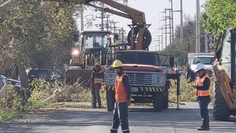Avanaza el ensanche de la calle 5 y ya tuvieron que sacar 200 árboles
