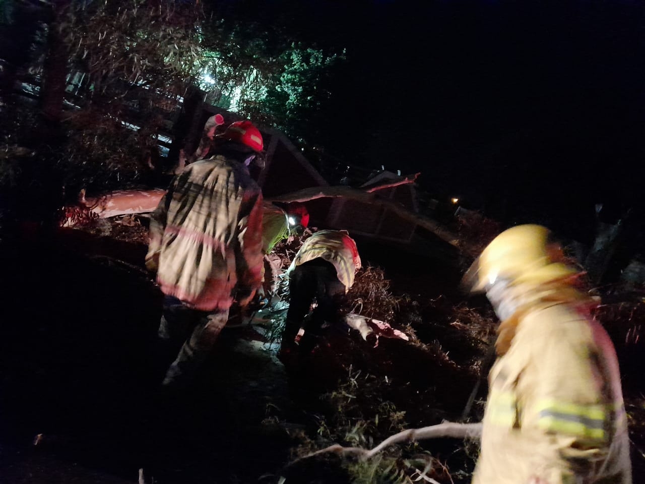 El viento derribó un árbol y tendido eléctrico en Pocito