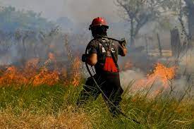 Incendios forestales en Corrientes: San Juan enviará asistencia