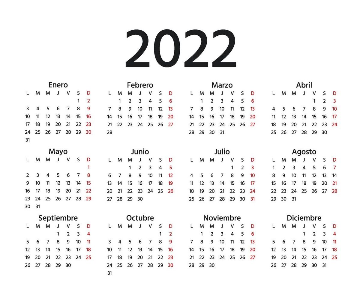 ¿Querías feriados en 2022? Fijate cuántos hay y cuándo caen