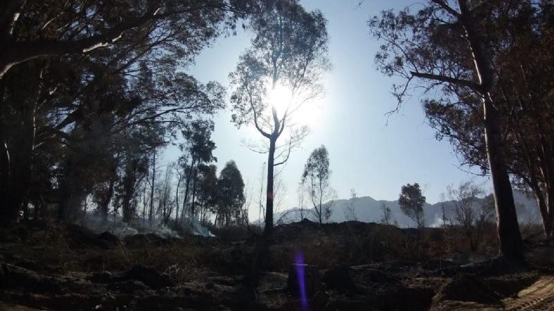 Trabajan para prevenir la re activación de un foco de incendio en el Parque Sarmiento