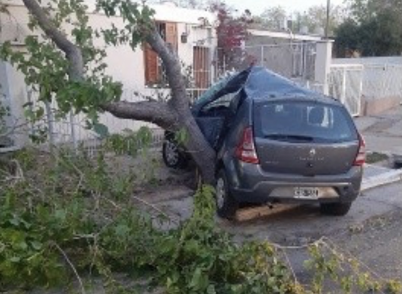 Un hombre perdió el control de su auto, chocó con un árbol y murió en el acto