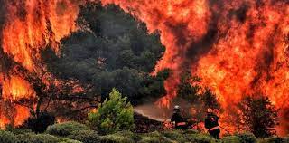Unos 40 incendios devastan Grecia y miles de personas fueron evacuadas