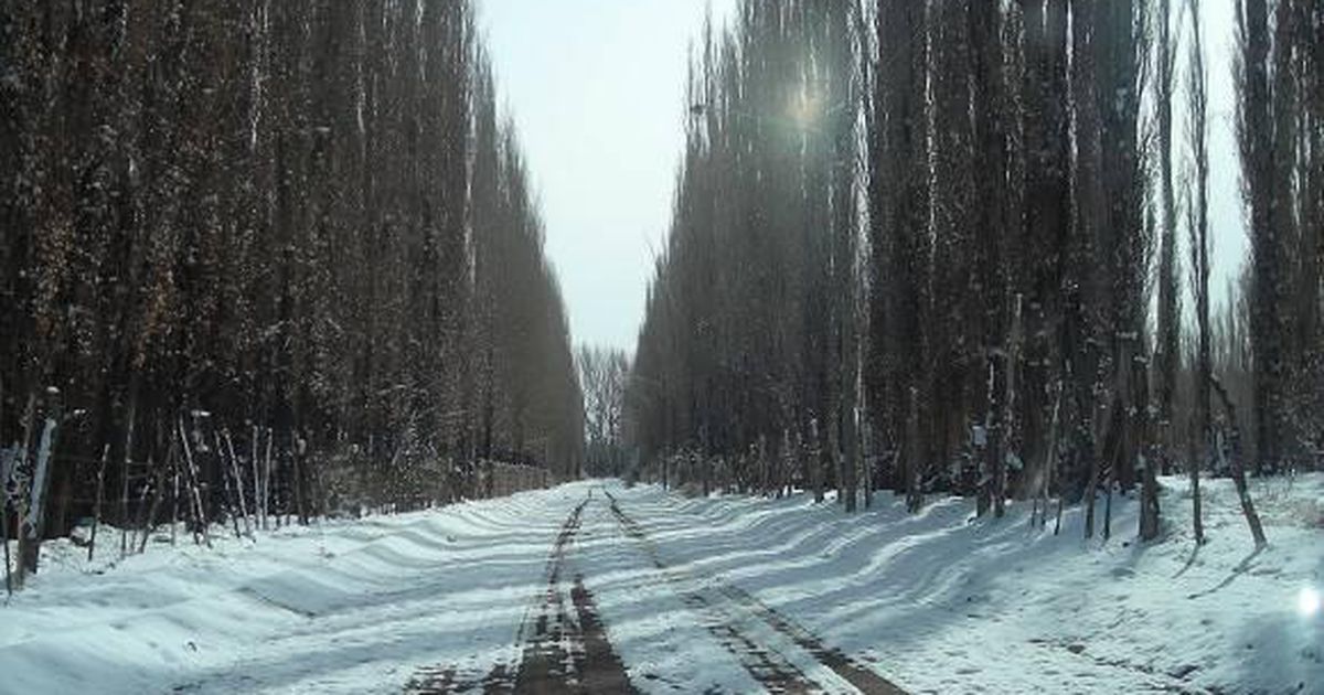 Una ola polar viene con importantes nevadas a la Cordillera