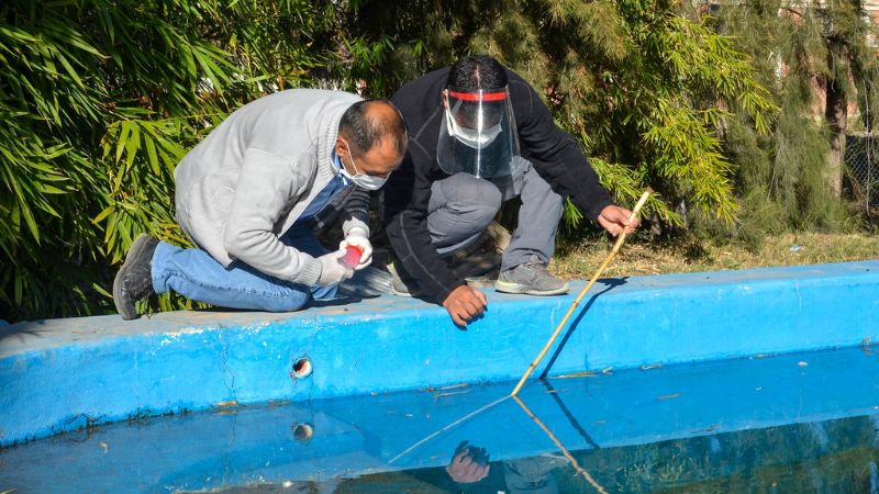 Solicitan eliminar posibles criaderos de mosquitos por la alarma de aparición de dengue